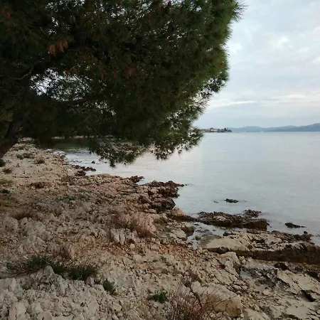 Adriatic *